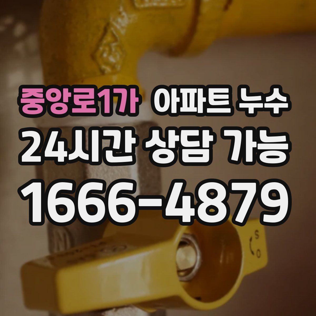 중앙로1가 아파트 누수 욕실 줄눈 젖음 방치하면 커지는 이유와 원인 확인