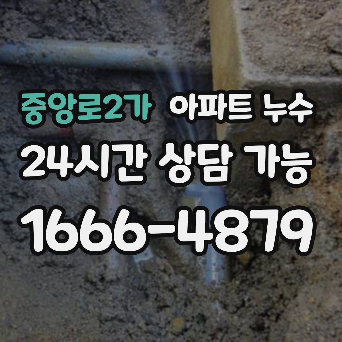 중앙로2가 아파트 누수 베란다 바닥이 검게 변할 때