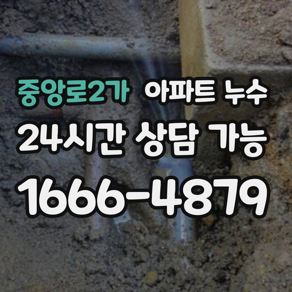 중앙로2가 아파트 누수탐지
