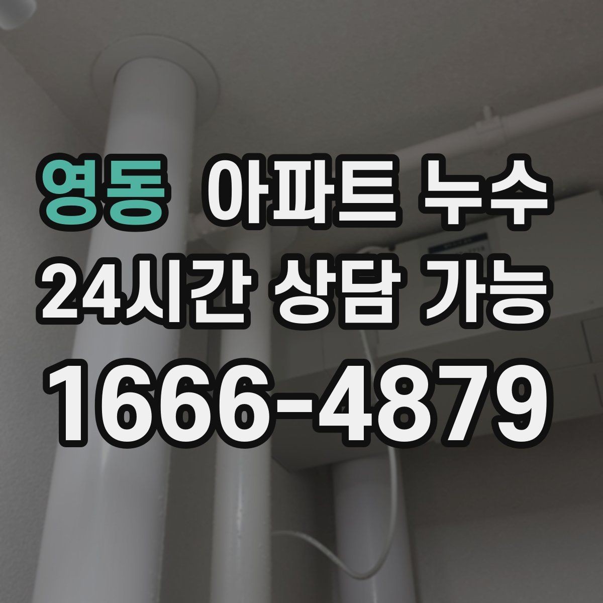 영동 아파트 누수 비 온 뒤에만 생기는 물자국의 정체