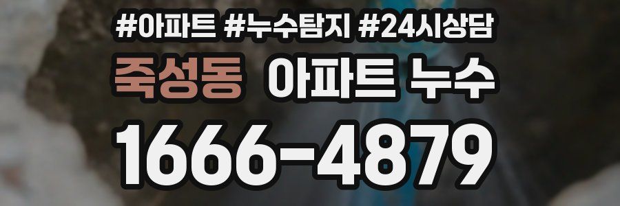 죽성동 누수탐지