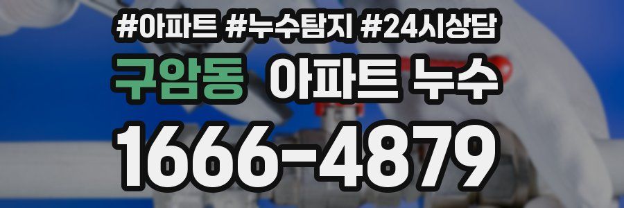 구암동 누수탐지