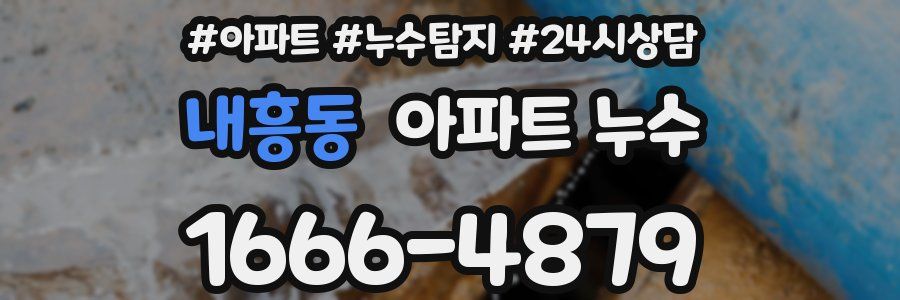 내흥동 누수탐지