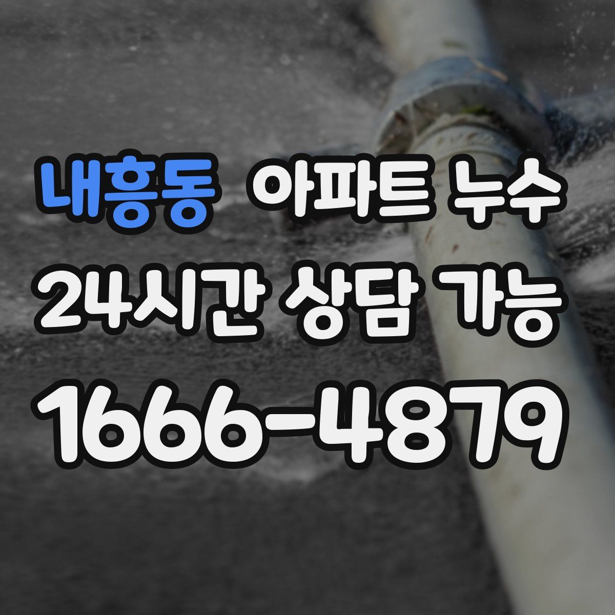 내흥동 아파트 누수탐지