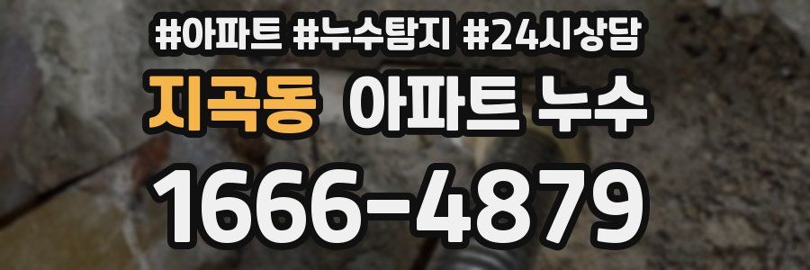 지곡동 누수탐지