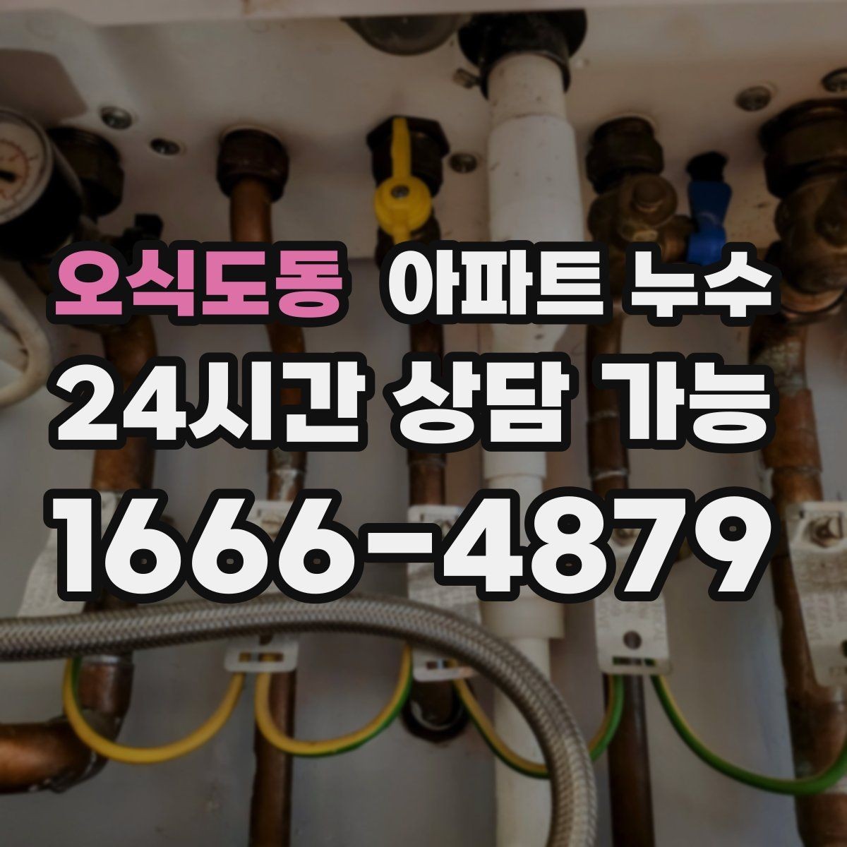 오식도동 아파트 누수 욕실 천장 얼룩이 생겼다면