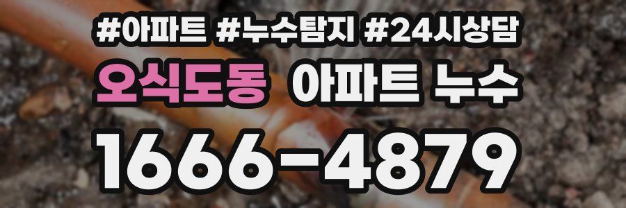 오식도동 누수탐지