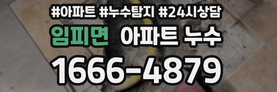 임피면 누수탐지