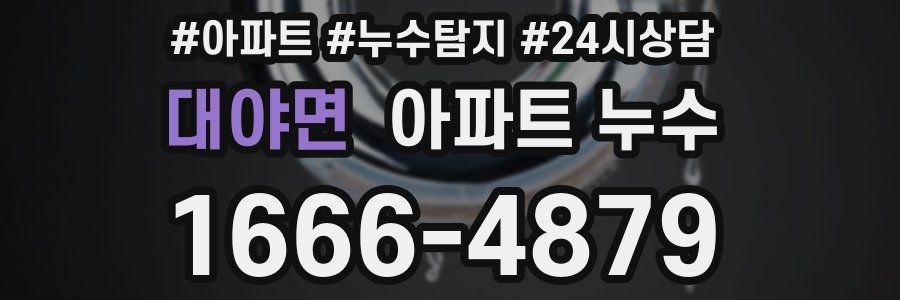 대야면 누수탐지