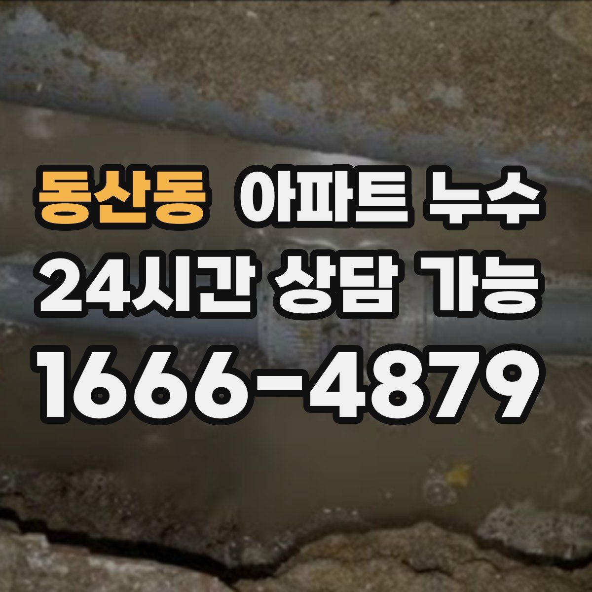 동산동 아파트 누수탐지
