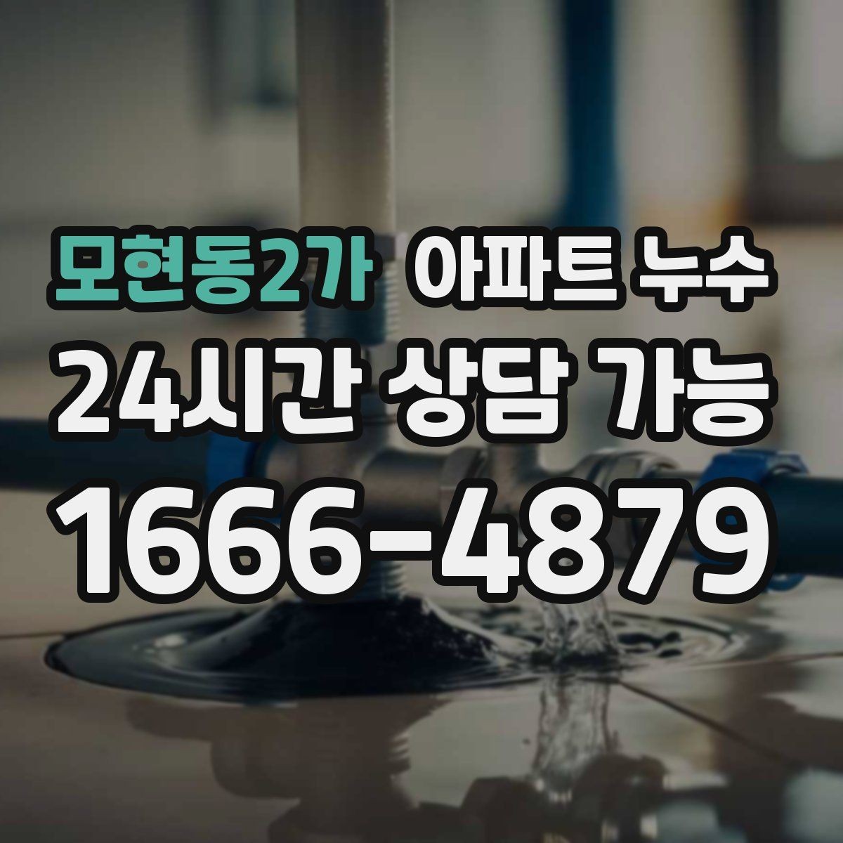 모현동2가 아파트 누수 변기 주변 바닥이 축축할 때 확인