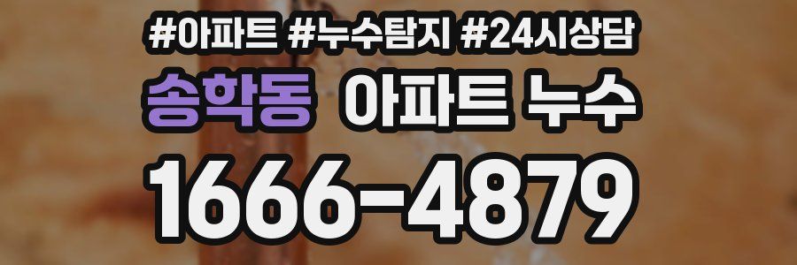 송학동 누수탐지