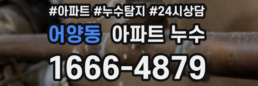 어양동 누수탐지