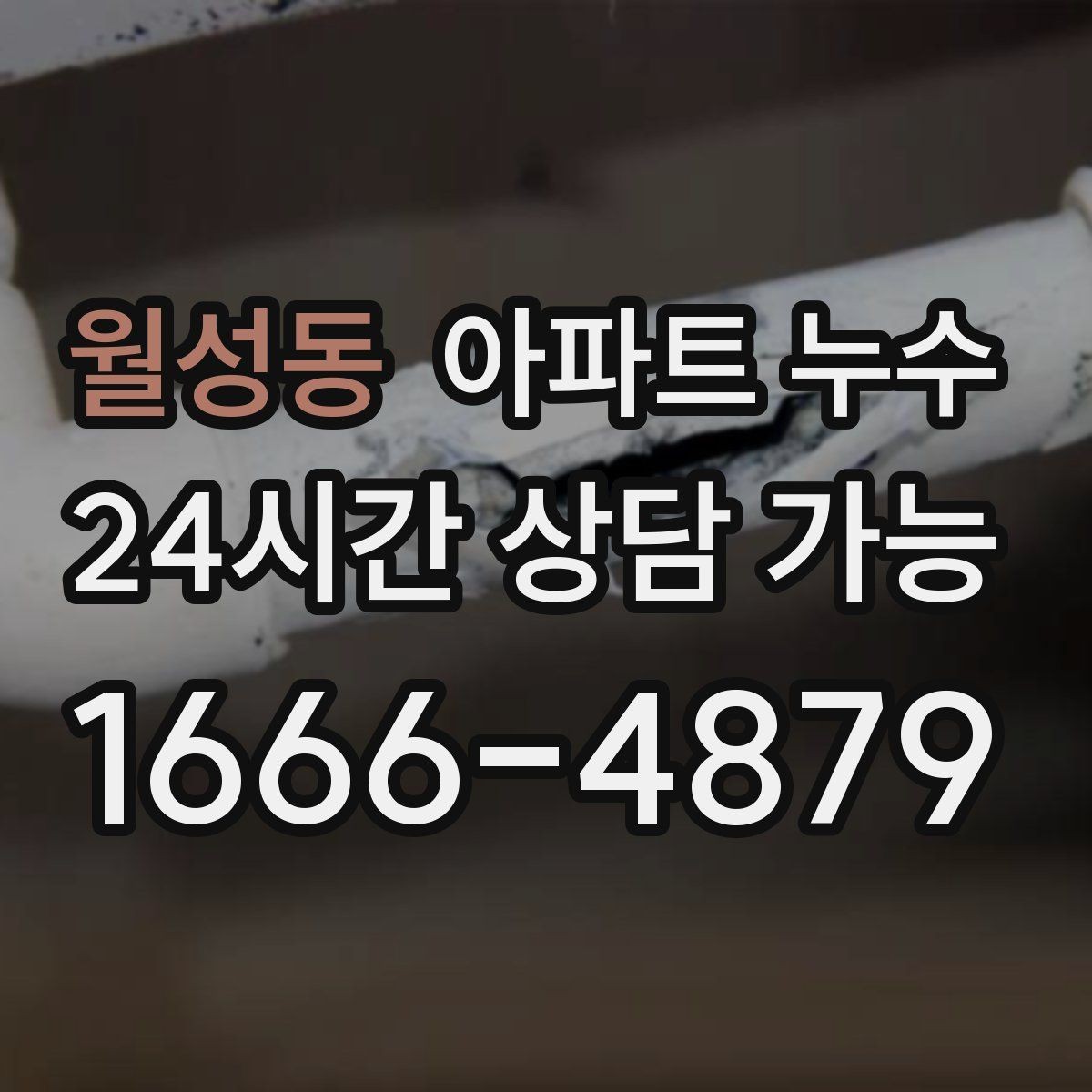월성동 아파트 누수 얼룩은 작은데 냄새가 강할 때