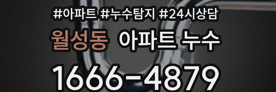 월성동 누수탐지