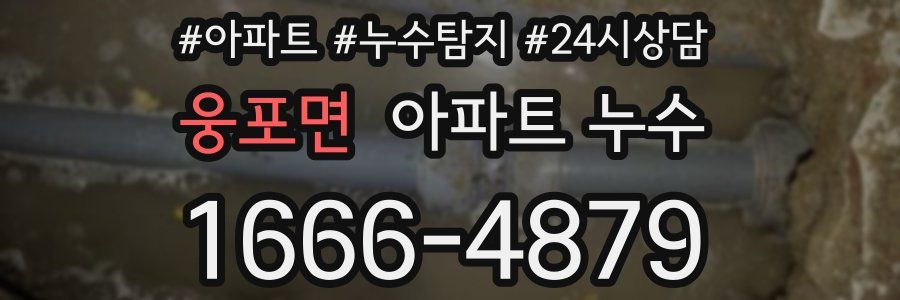 웅포면 누수탐지