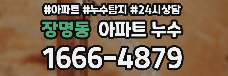 장명동 누수탐지