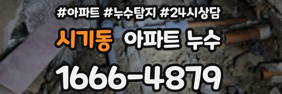 시기동 누수탐지