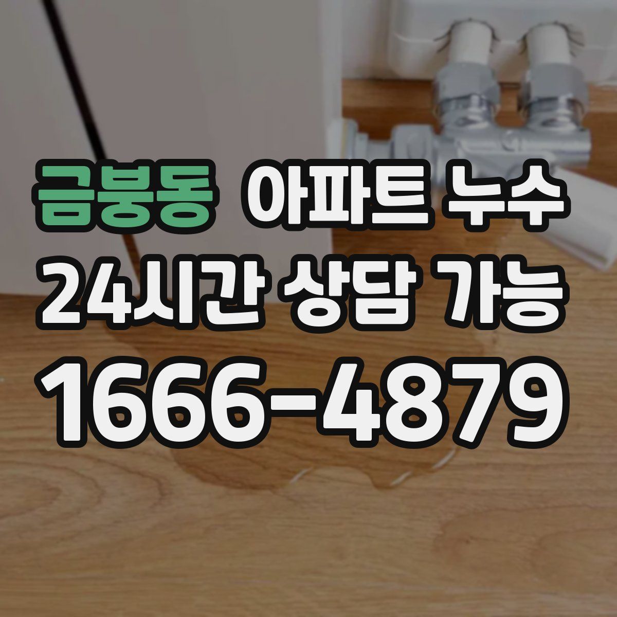 금붕동 아파트 누수탐지