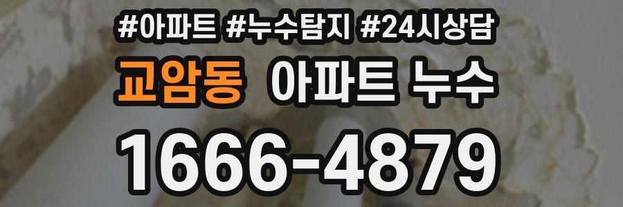 교암동 누수탐지