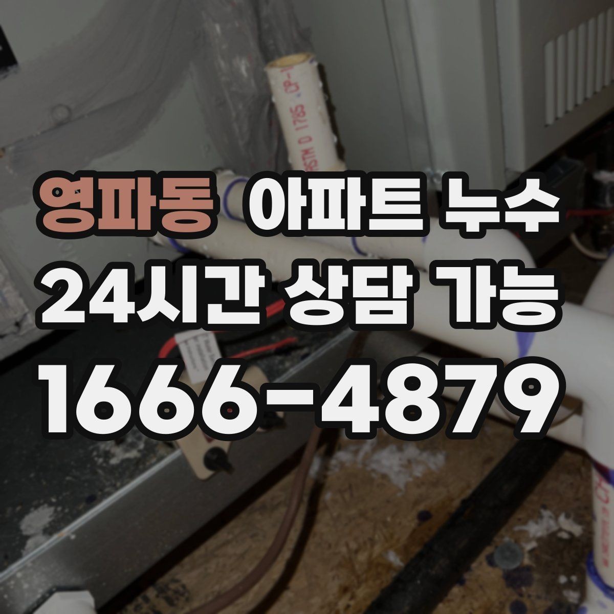 영파동 아파트 누수 장판 가장자리가 들릴 때 점검 순서