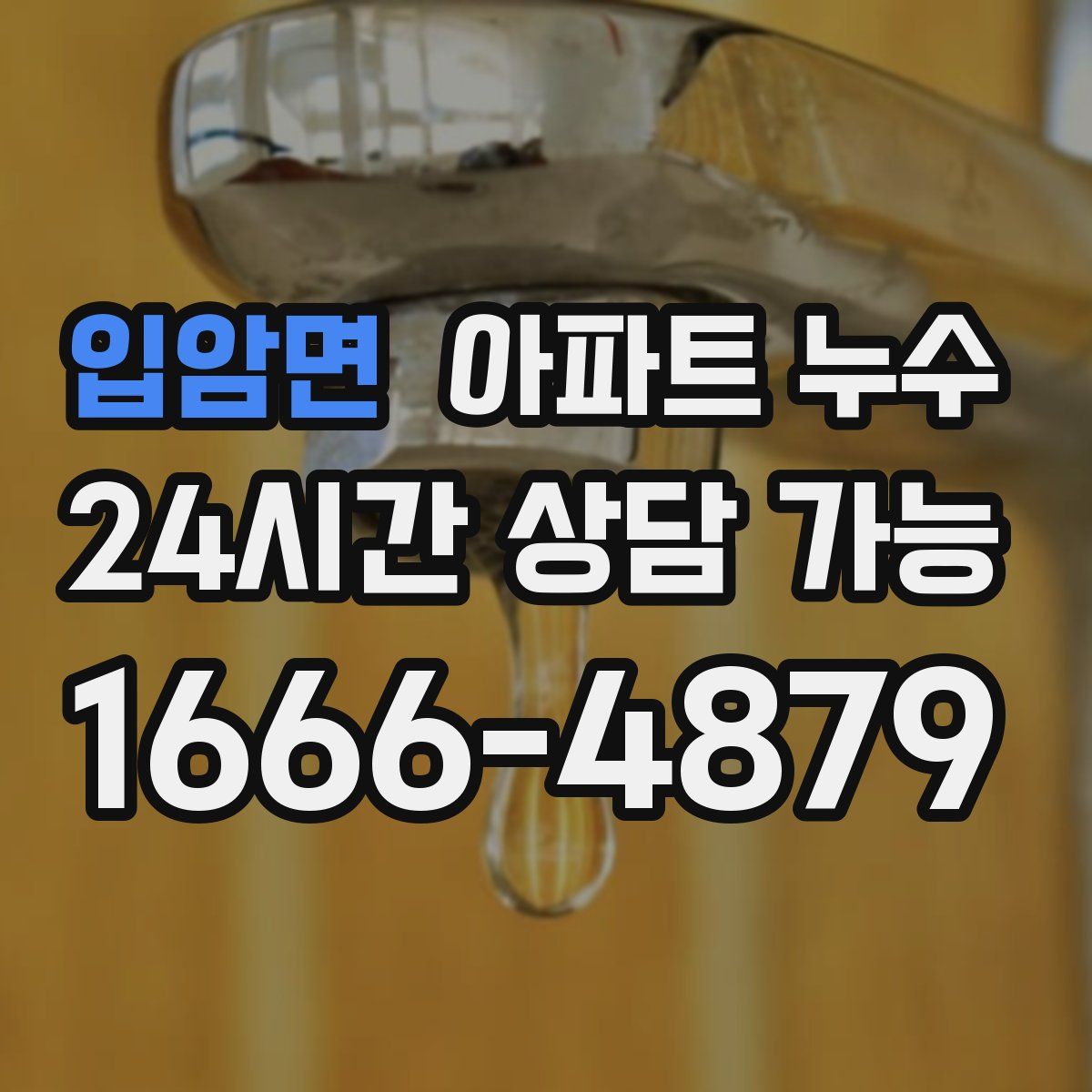 입암면 아파트 누수탐지