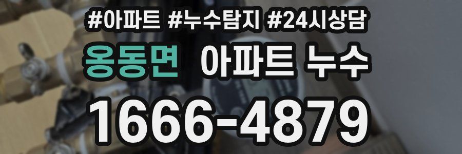 옹동면 누수탐지