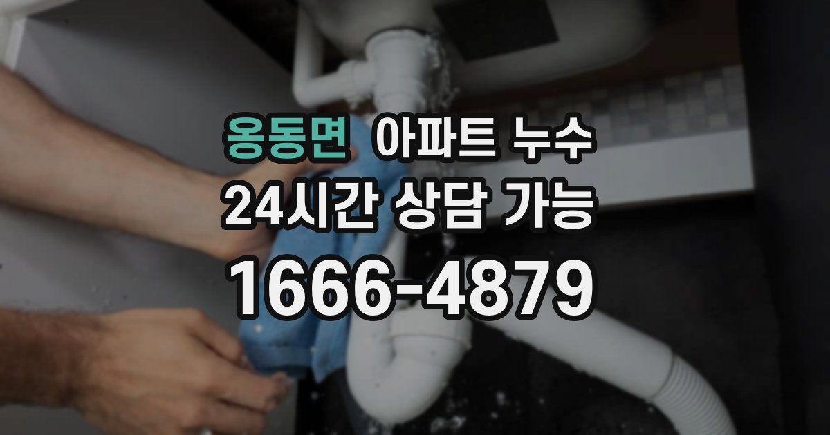 옹동면 아파트 누수