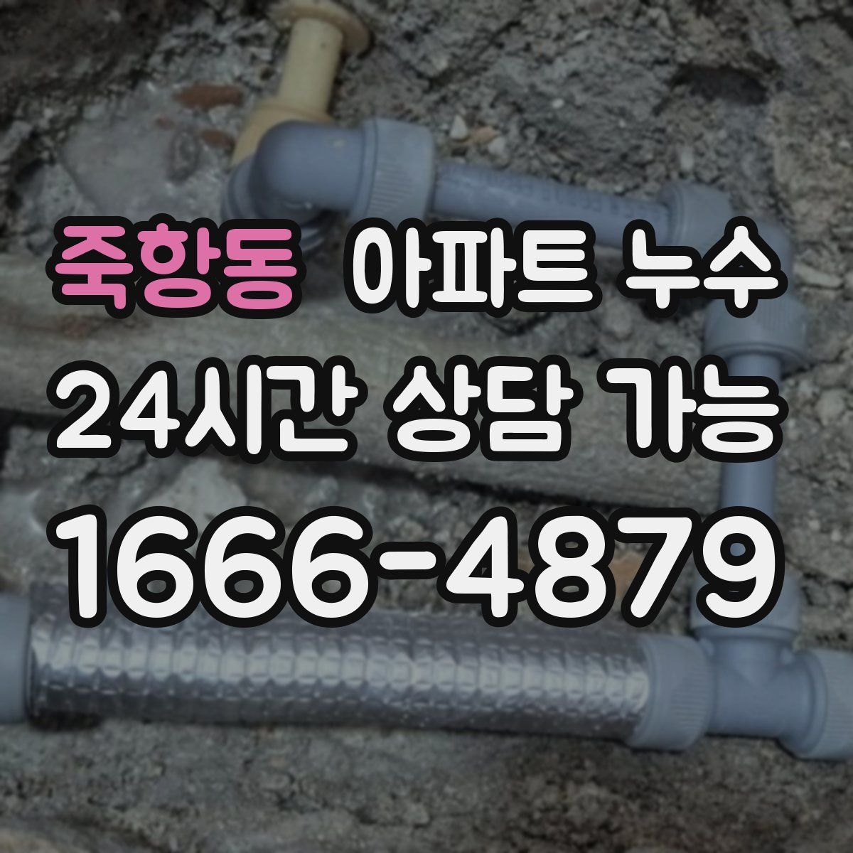 죽항동 아파트 누수탐지