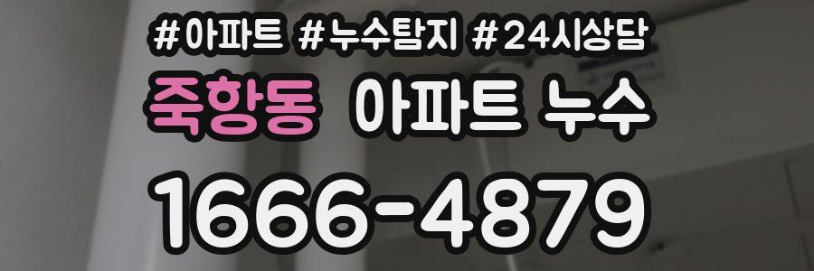 죽항동 누수탐지