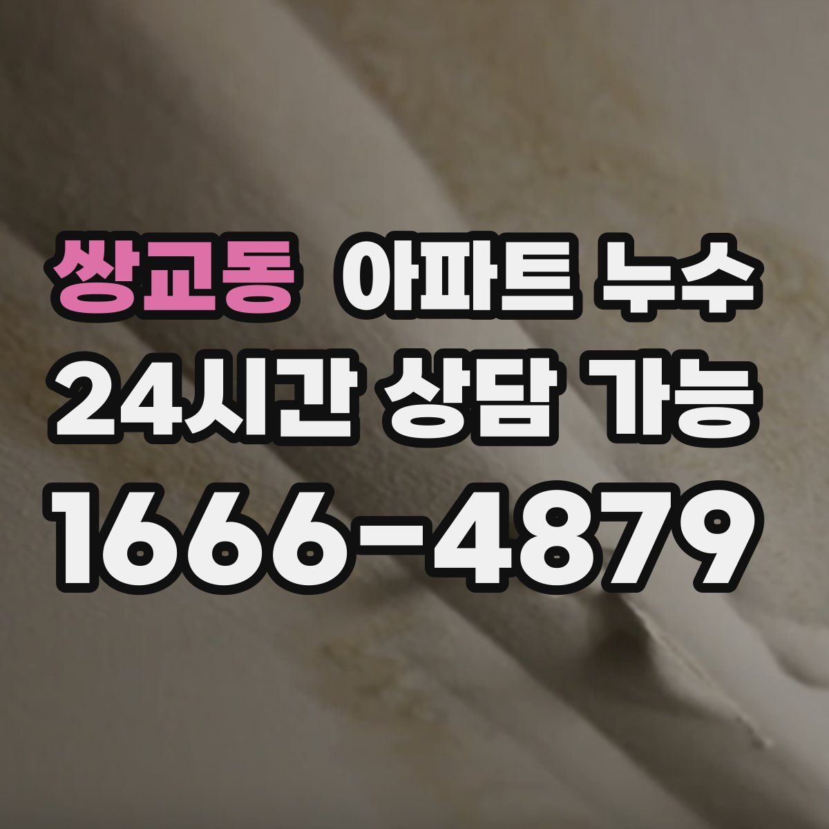 쌍교동 아파트 누수탐지