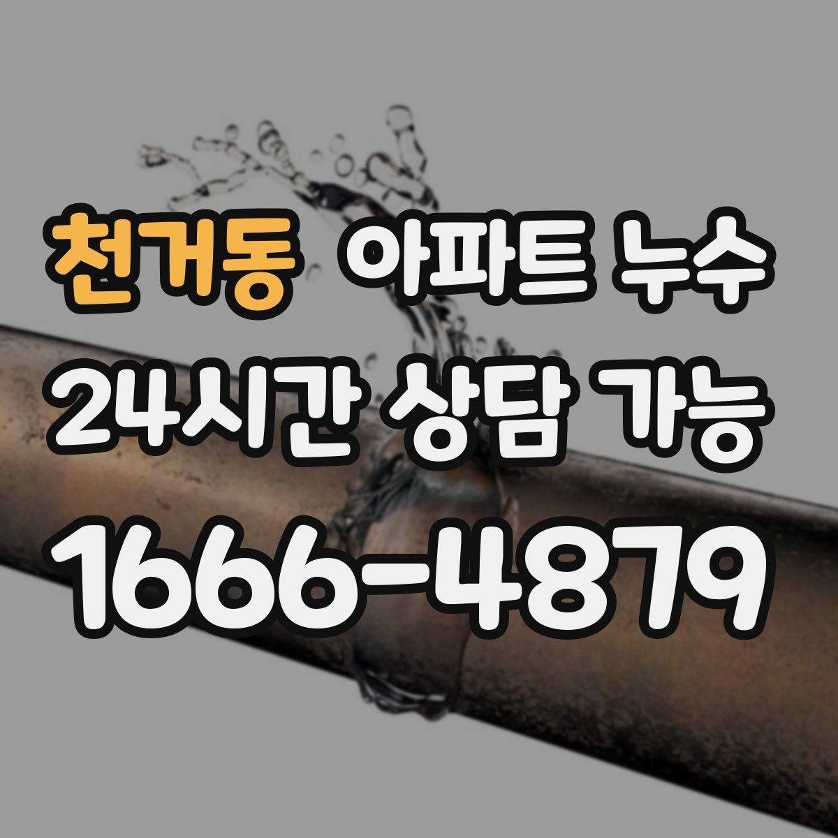 천거동 아파트 누수 원인 확인 후 필요한 조치만 진행합니다