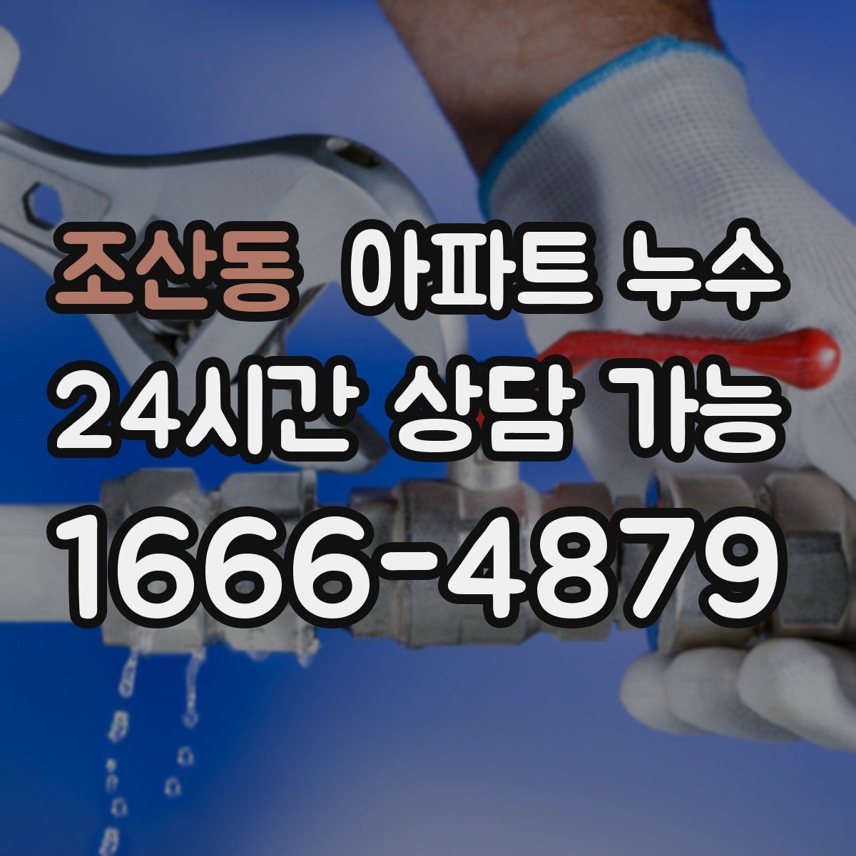조산동 아파트 누수 벽 모서리 곰팡이 커지기 전 현장 체크