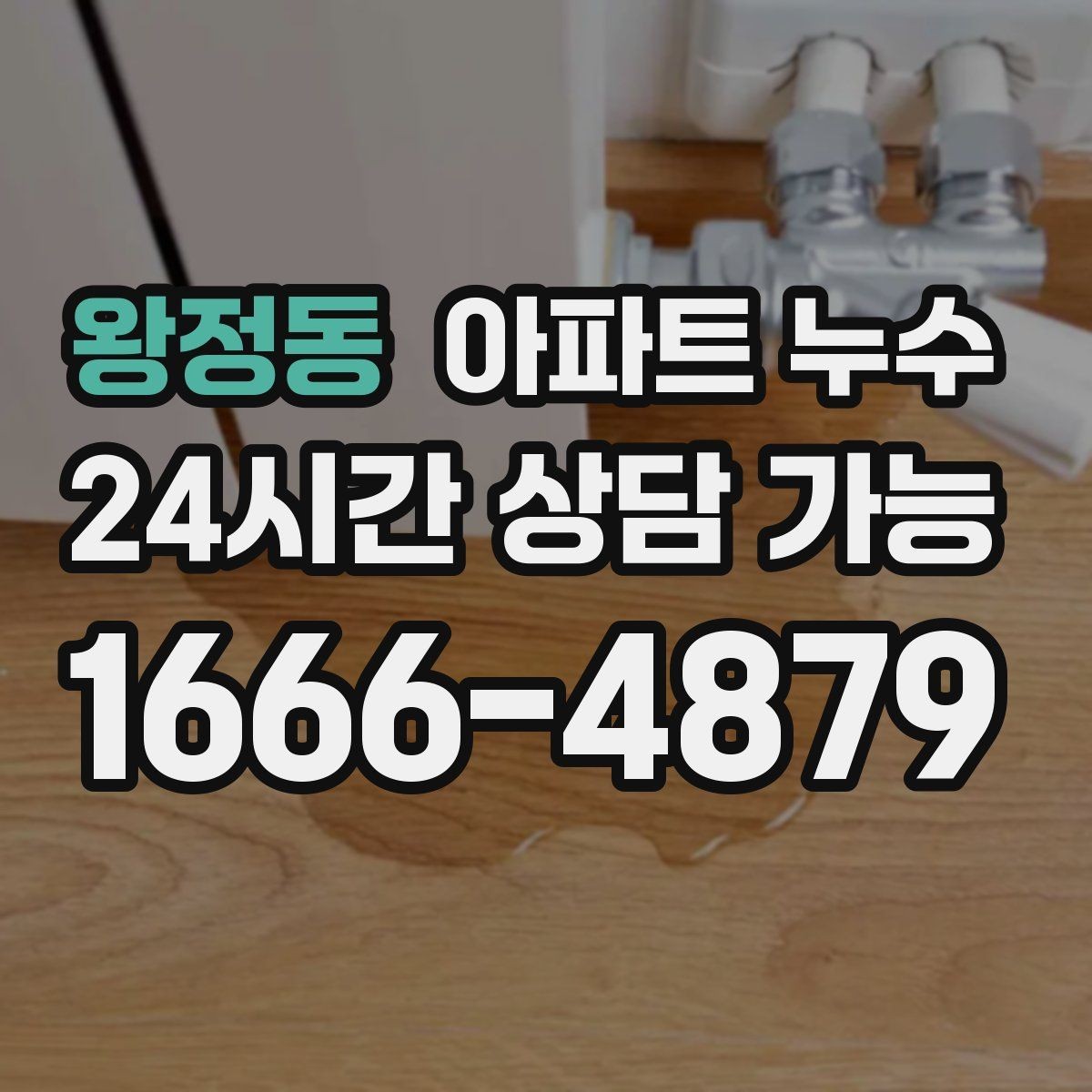 왕정동 아파트 누수 원인 위치가 헷갈릴 때 당황하지 않는 재발 방지 정리