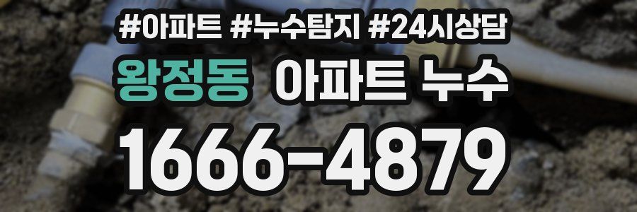 왕정동 누수탐지