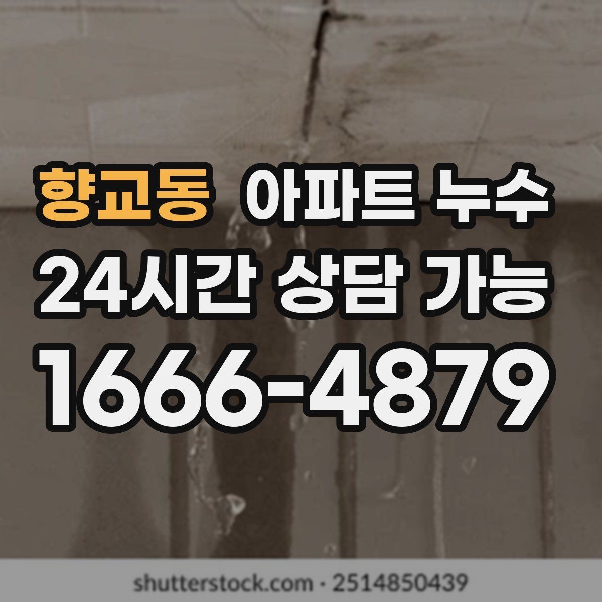 향교동 아파트 누수 물자국이 벽 모서리에 생길 때