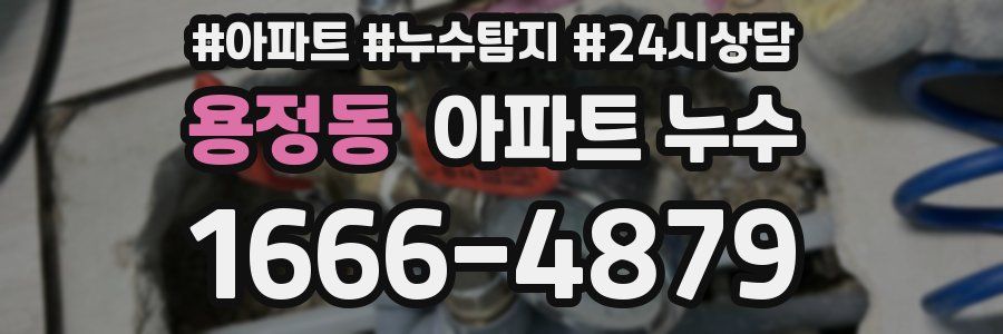 용정동 누수탐지