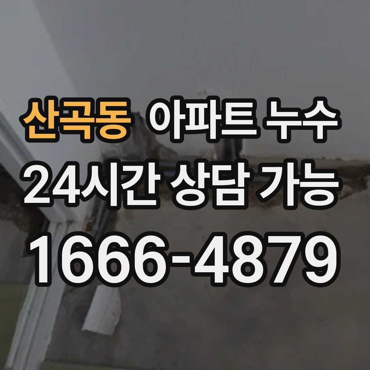 산곡동 아파트 누수 벽지와 장판 손상 전 조기 대응