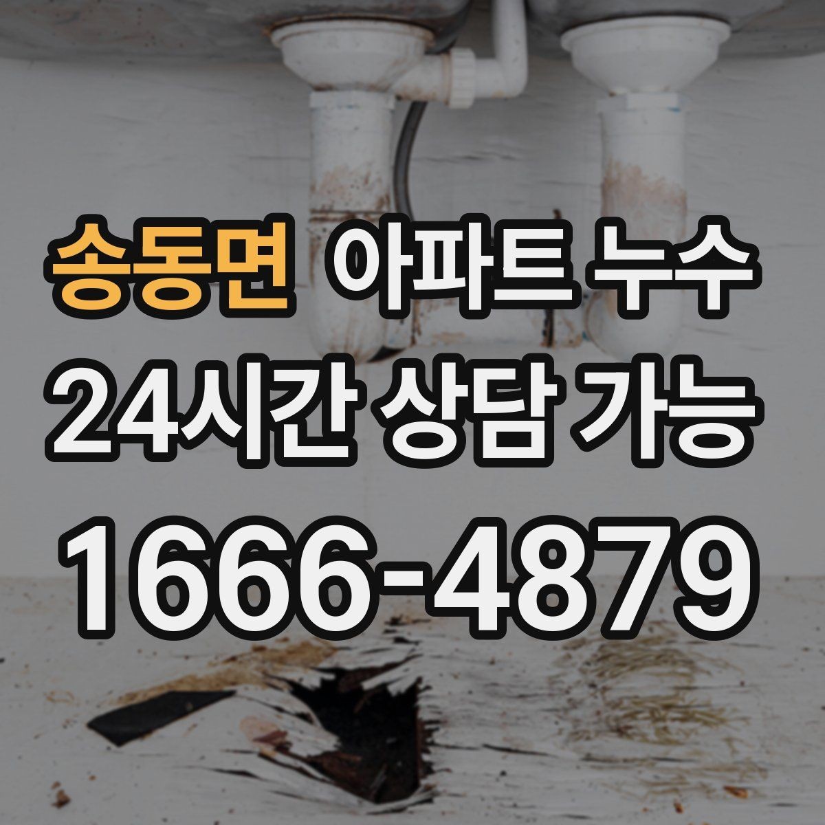송동면 아파트 누수 벽지가 찢어질 만큼 들뜰 때 빠른 대응