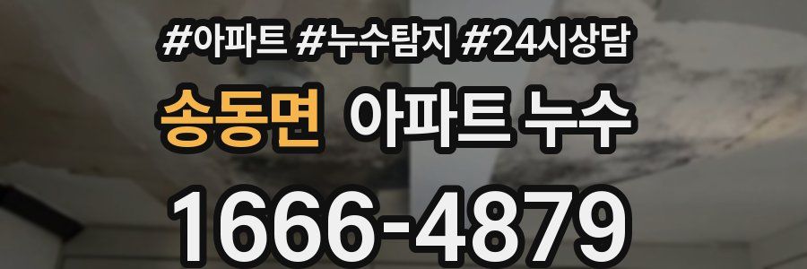 송동면 누수탐지