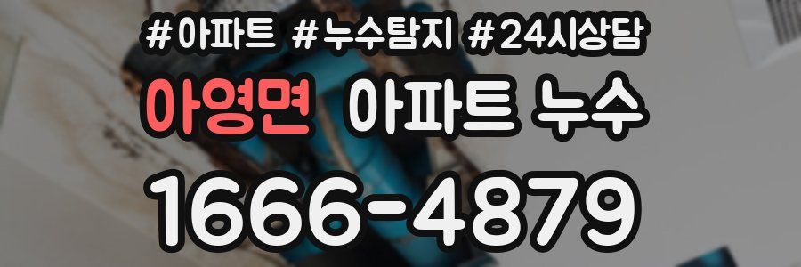 아영면 누수탐지