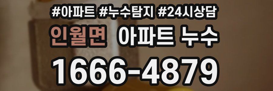 인월면 누수탐지