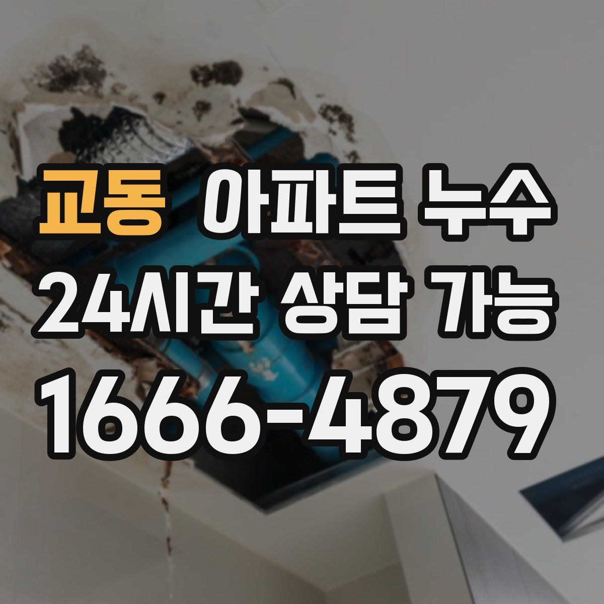 교동 아파트 누수탐지