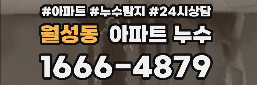 월성동 누수탐지