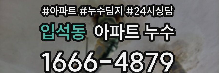 입석동 누수탐지