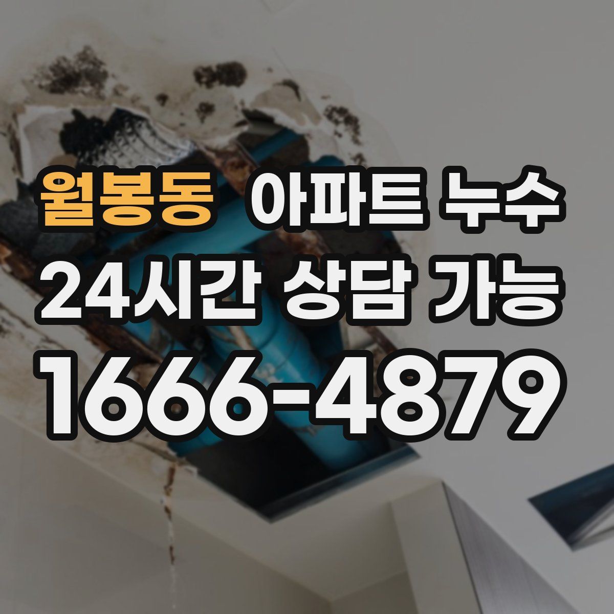 월봉동 아파트 누수탐지