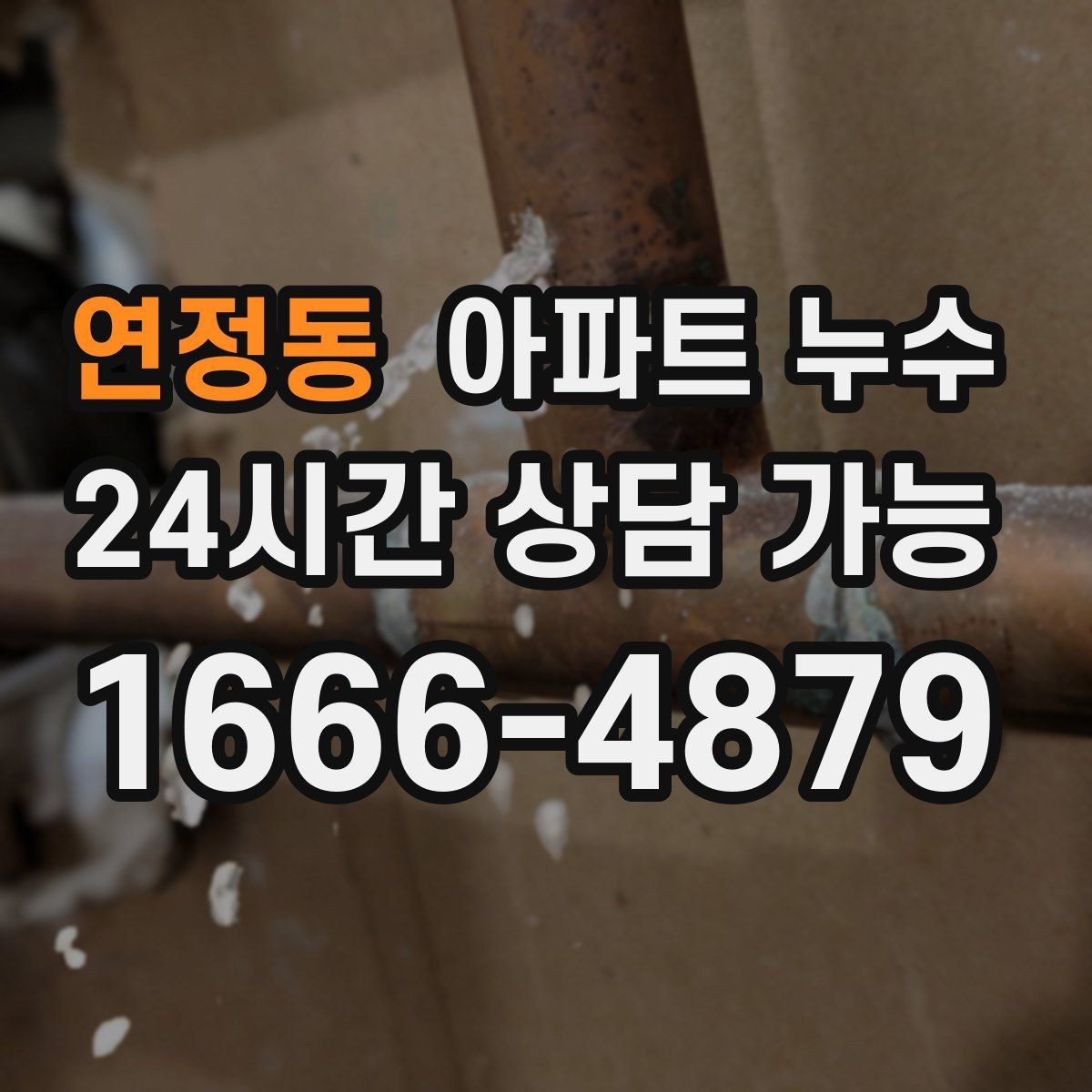 연정동 아파트 누수 바닥 젖음 보이면 원인 확인부터 정리