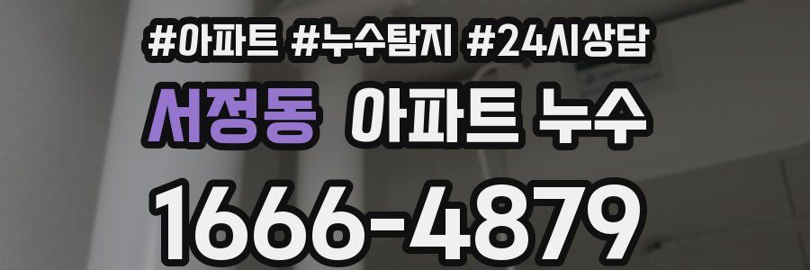 서정동 누수탐지