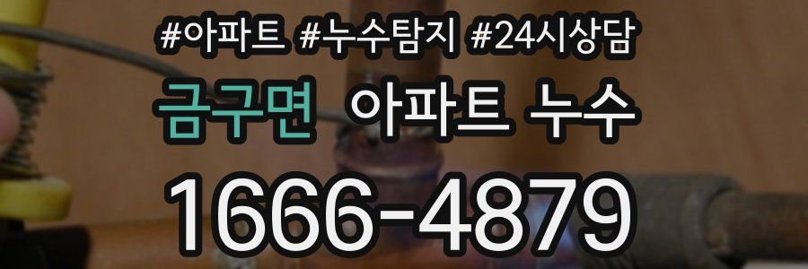 금구면 누수탐지