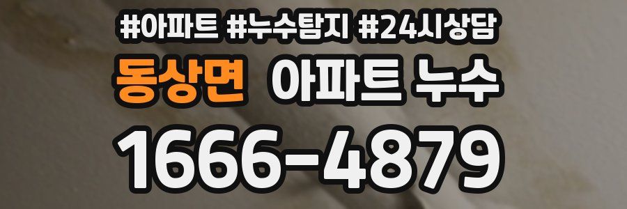 동상면 누수탐지